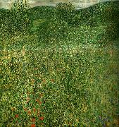 Gustav Klimt blommande falt oil on canvas